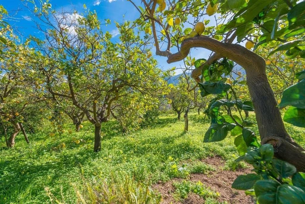 Villa Frontera Sóller Eksteriør billede
